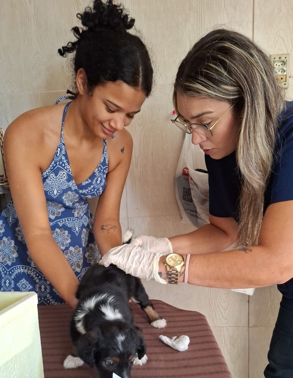 WhatsApp Image 2026-03-26 at 10.17.31.jpeg