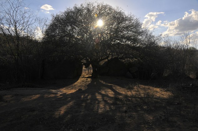 Cenas ao redor da transposição - Fotos: Mano de Carvalho