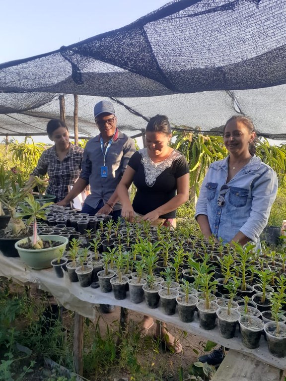 Marcia Gondim com produtoras em municípios do Brejo paraibano (4).jpeg