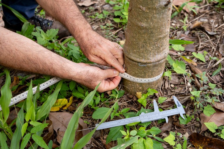 WhatsApp Image 2025-06-02 at 12.36.02 (6).jpeg