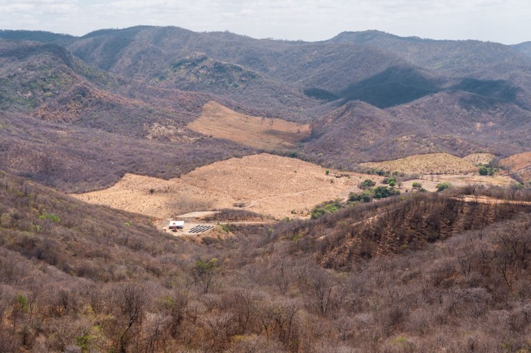 WhatsApp Image 2026-02-23 at 11.19.06 (1).jpeg