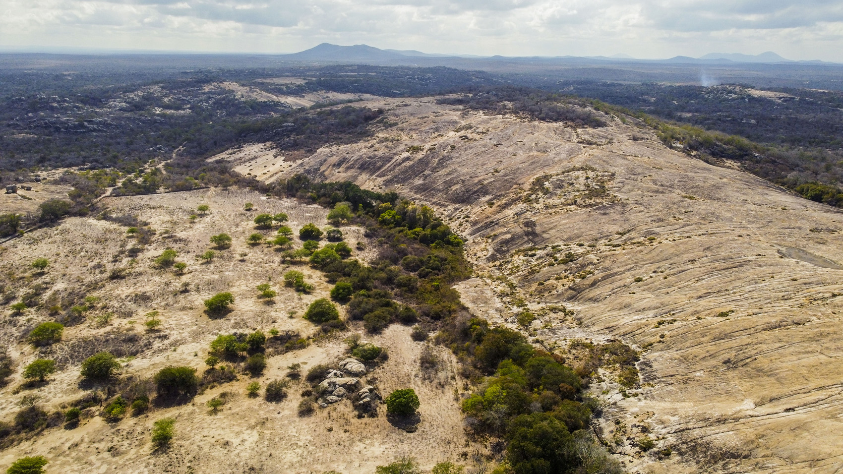 Fazenda Salambaia