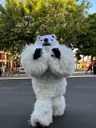 IMG_0746.jpg