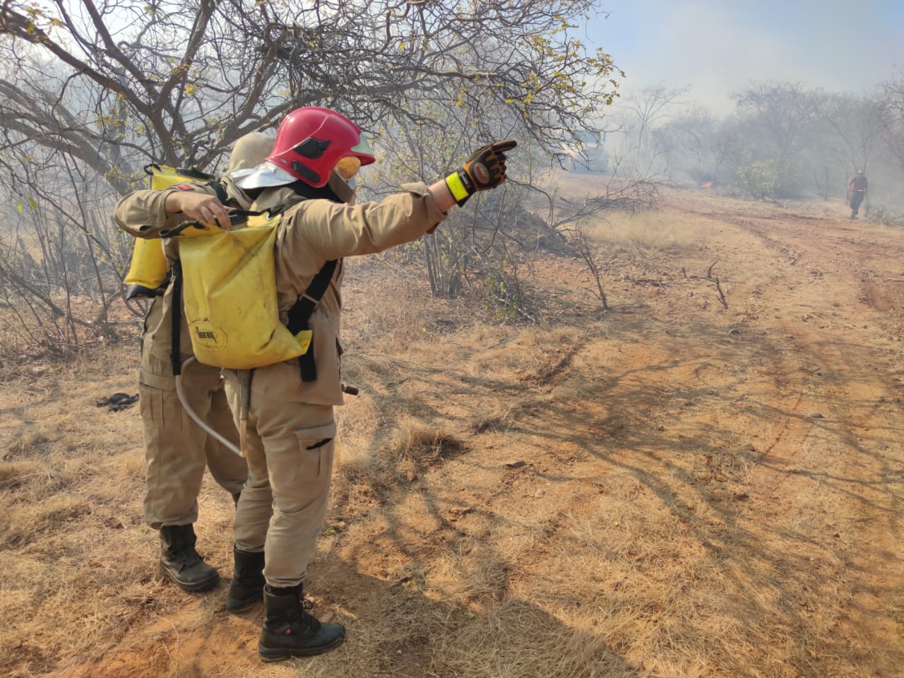 Ação BM contra incêndios.jpg