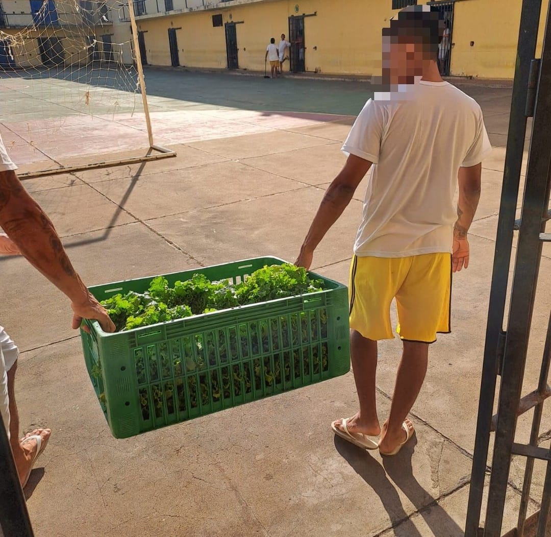 c6a0fa9a-7ca5-41b3-ae8b-bc2ed05480b3.jfif