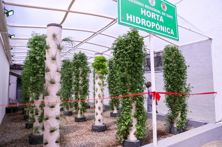 Inaugurado o cultivo hidropônico_ Presídio Sapé_23.jpg