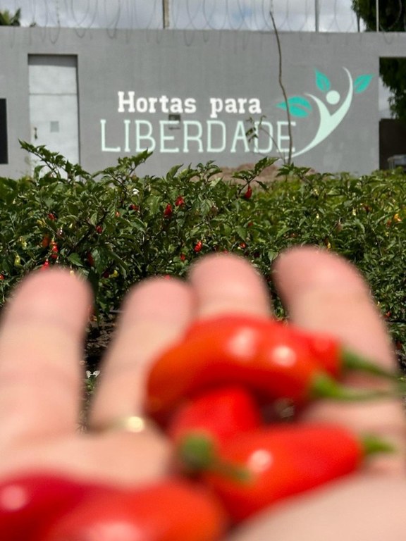 Ressocialização na cadeia de Remígio_artesanato_pimenta_cachecol_7.jpeg