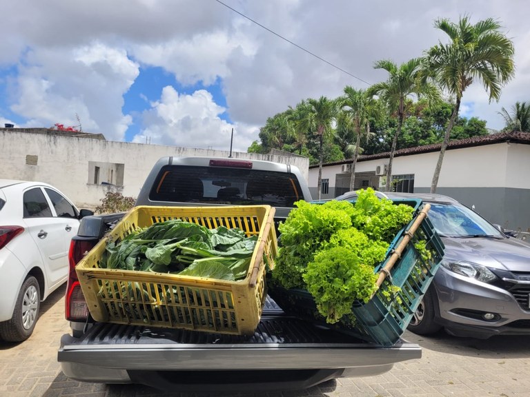 Hortas para a Liberdade na Penitenciária de Santa Rita_11.jpg