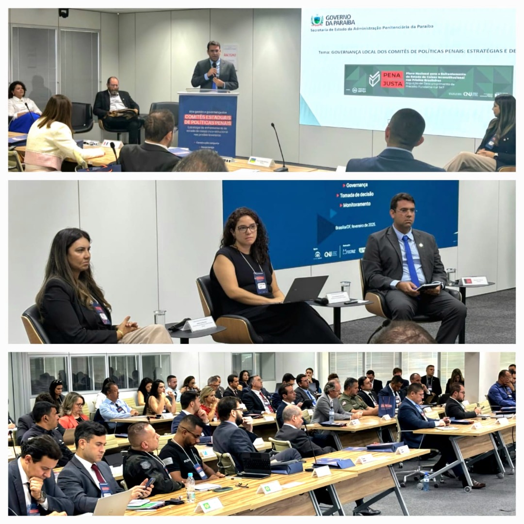 Seap participa de encontro sobre governança dos Comitês de Políticas Penais do Brasil_3