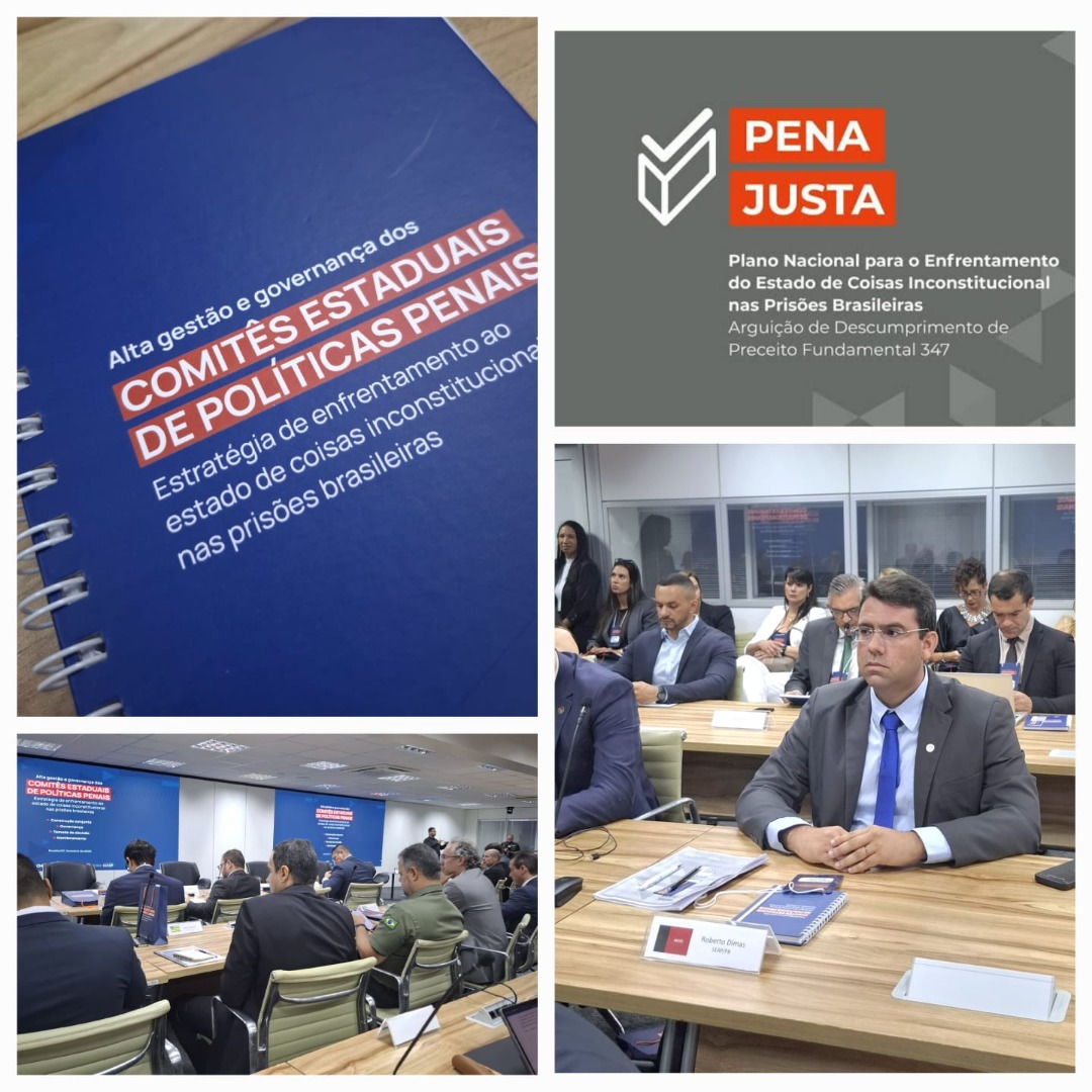 Seap participa de encontro sobre governança dos Comitês de Políticas Penais do Brasil_4.jpg