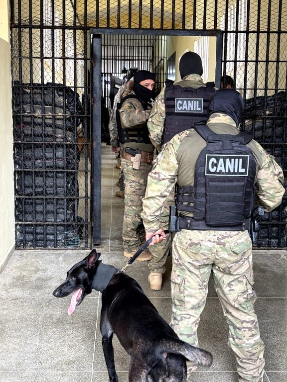 Seap-PB apoia a oitava etapa da Operação Mute_1.jpg