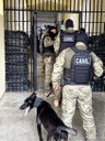 Seap-PB apoia a oitava etapa da Operação Mute_1.jpg