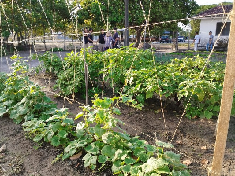 SEAP-PB e Pronatec transformam vidas com Curso de Agricultor Orgânico, em Penitenciária de João Pessoa_14.jpg