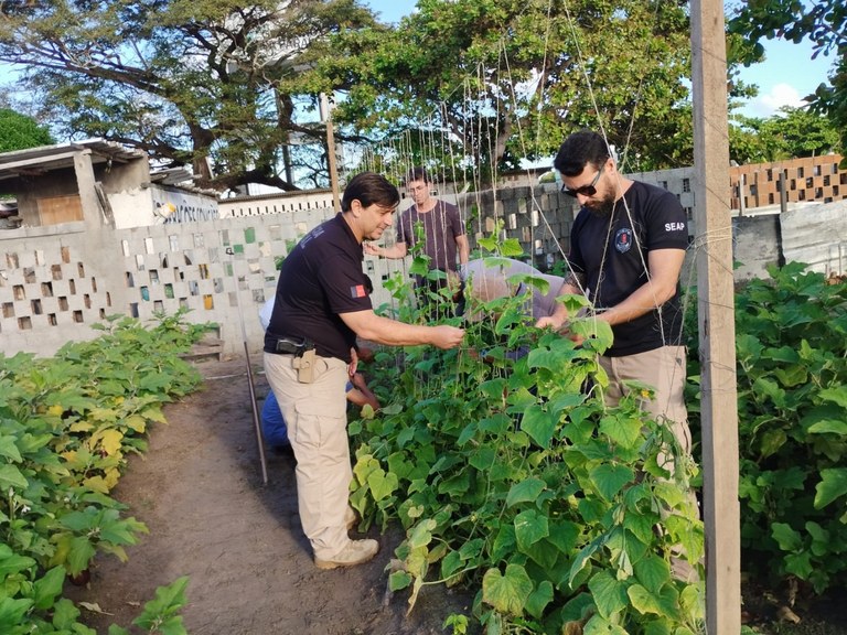 SEAP-PB e Pronatec transformam vidas com Curso de Agricultor Orgânico, em Penitenciária de João Pessoa_6.jpg