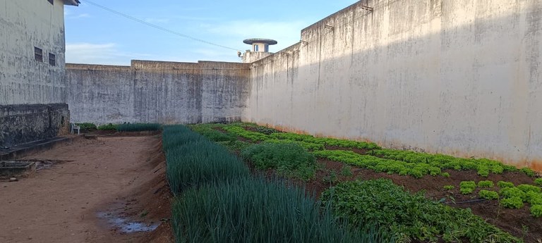 horticultura nas prisões da Paraíba_2.jpg