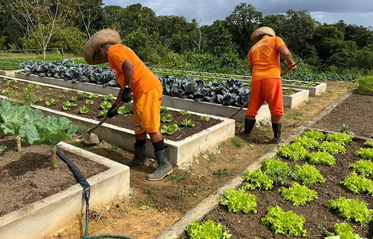 SENAPPEN destinará R$ 21 milhões para projetos de trabalho prisional da DIRPP nos estados_2_.jpg