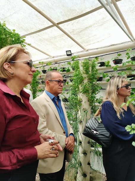 Unidade prisional de Sapé colhe primeiros morangos cultivados em sistema semi-hidropônico_8.jpg
