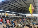Exposição de animais na Caprifeira.jpg