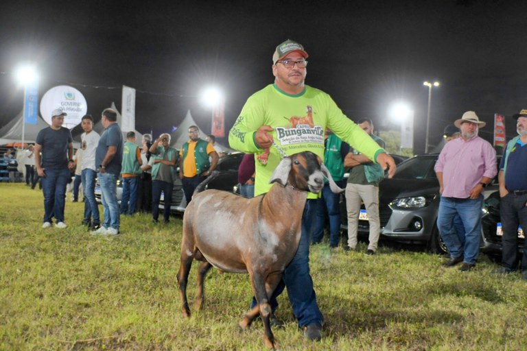 Animais Desfile Expapi.jpg