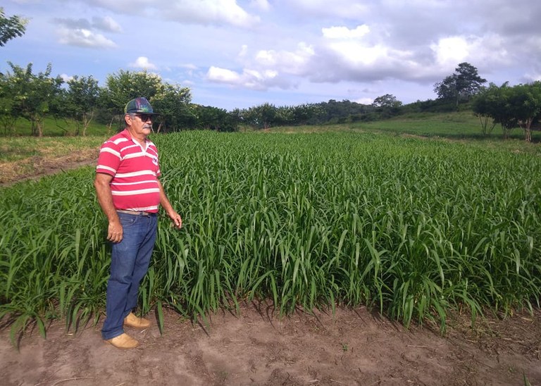 04_07_19 Alunos de Agroecologia conhecem projeto de Integração lavoura, pecuária e floresta na Empaer (5).jpg