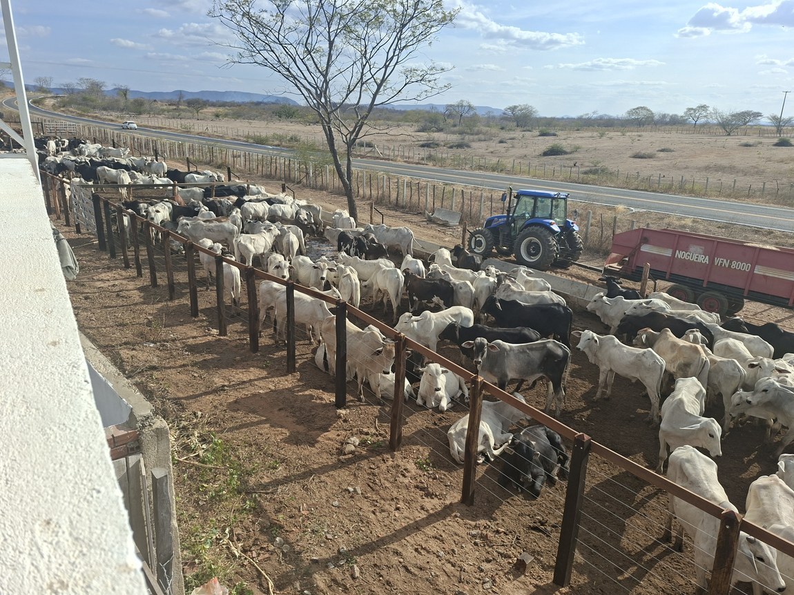 Sedap-PB realiza atualização cadastral obrigatória das criações de animais