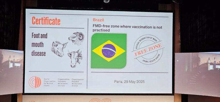Brasil - Área Livre da Aftosa Sem Vacinação.jpeg