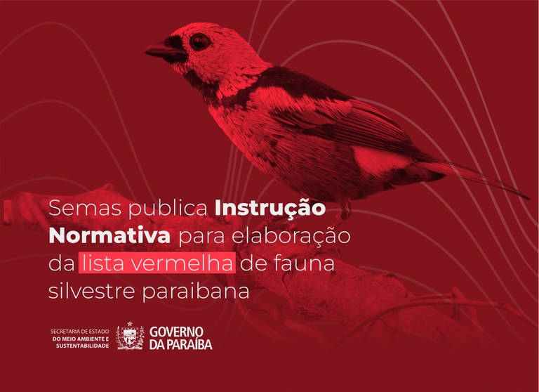 Semas publica Instrução Normativa para avaliação de espécies em risco de extinção da fauna silvestre paraibana